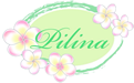 エイジングケア専門店 pilina 【ピリナ】